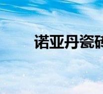 诺亚丹瓷砖怎么样(诺亚丹比简介)