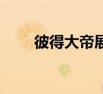 彼得大帝展厅(彼得大帝雕塑简介)