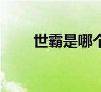 世霸是哪个国家的品牌(世霸简介)