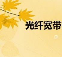 光纤宽带的定义(光纤宽带简介)