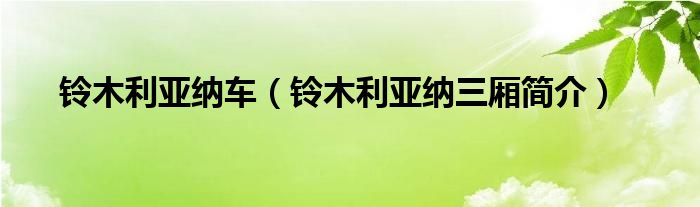 铃木利亚纳车（铃木利亚纳三厢简介）