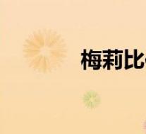 梅莉比伯(梅特比利奇简介)