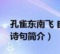孔雀东南飞 自(自挂东南枝-《孔雀东南飞》诗句简介)
