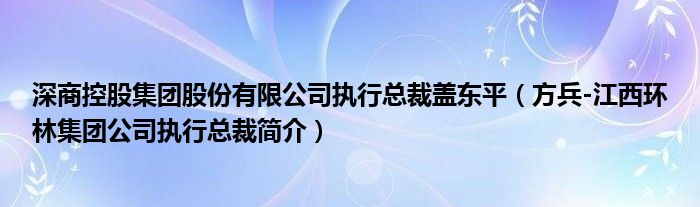 深商控股集团股份有限公司执行总裁盖东平（方兵