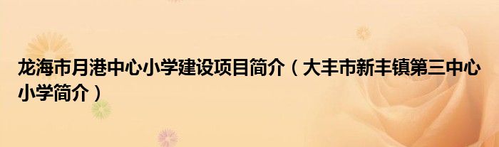 龙海市月港中心小学建设项目简介（大丰市新丰镇第三中心小学简介）