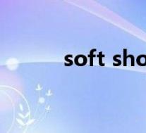 soft shower(SoftLayer简介)