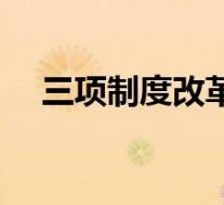 三项制度改革简报(三项制度改革简介)