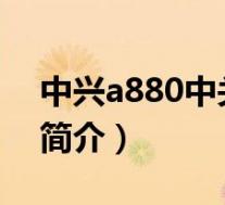 中兴a880中关村(中兴A880-小鲜/电信4G简介)
