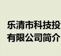 乐清市科技投资有限公司(乐清科成网络科技有限公司简介)