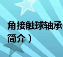 角接触球轴承安装方向的特点(角接触球轴承简介)