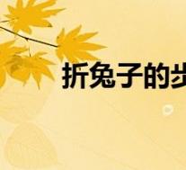 折兔子的步骤图解法(折折兔简介)