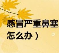感冒严重鼻塞怎么办速效办法(感冒严重鼻塞怎么办)
