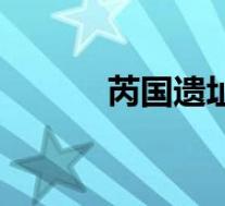 芮国遗址镇馆之宝(芮国简介)