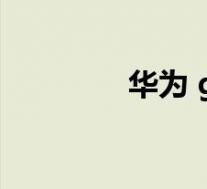 华为 g7(华为G710简介)