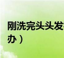 刚洗完头头发很毛躁怎么办（头发很毛躁怎么办）