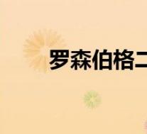 罗森伯格二期(吉尔罗森伯格简介)