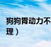 狗狗胃动力不足怎么调理（胃动力不足怎么调理）