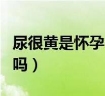 尿很黄是怀孕了吗怎么回事（尿很黄是怀孕了吗）