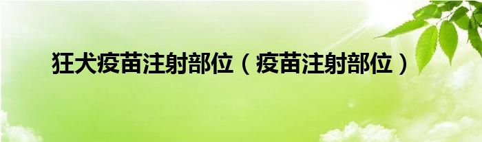 狂犬疫苗注射部位（疫苗注射部位）