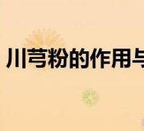 川芎粉的作用与功效及禁忌（川芎粉的作用）