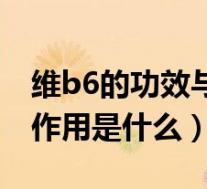 维b6的功效与作用又叫什么(维b6的功效与作用是什么)