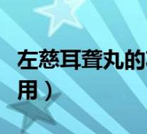 左慈耳聋丸的功效与作用（耳聋丸的功效和作用）