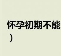 怀孕初期不能吃什么(怀孕初期不可以吃什么)