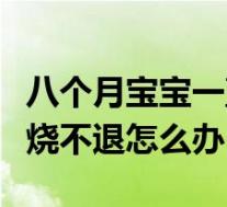 八个月宝宝一直高烧不退怎么办（宝宝一直高烧不退怎么办）