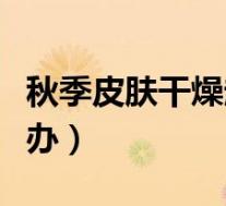 秋季皮肤干燥起皮怎么办(皮肤干燥起皮怎么办)
