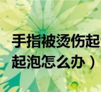 手指被烫伤起泡怎么办用什么药（手指被烫伤起泡怎么办）