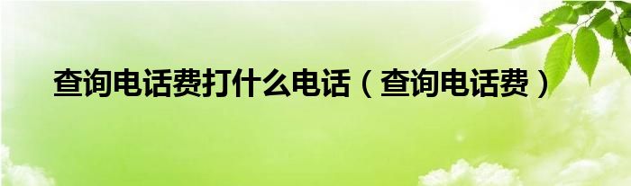 查询电话费打什么电话（查询电话费）