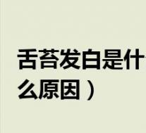 舌苔发白是什么原因呢有齿痕（舌苔发白是什么原因）