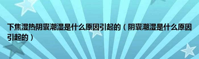 下焦湿热阴囊潮湿是什么原因引起的（阴囊潮湿是什么原因引起的）