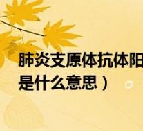 肺炎支原体抗体阳性是什么意思lgG(肺炎支原体抗体阳性是什么意思)