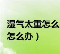 湿气太重怎么办最快最有效的方法（湿气太重怎么办）