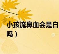 小孩流鼻血会是白血病吗怎么治疗(小孩流鼻血会是白血病吗)