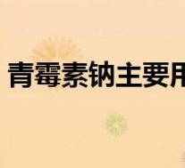 青霉素钠主要用途（青霉素钠的作用和主治）
