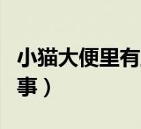 小猫大便里有血怎么回事（大便里有血怎么回事）