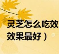 灵芝怎么吃效果最好灵芝的吃法(灵芝怎么吃效果最好)