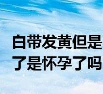 白带发黄但是不痛不痒可以自愈吗（白带没有了是怀孕了吗）
