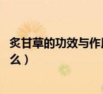 炙甘草的功效与作用是什么 视频（炙甘草的功效与作用是什么）