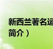 新西兰著名运动员(巴隆-新西兰足球运动员简介)