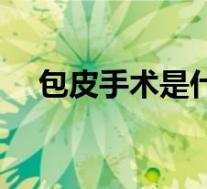 包皮手术是什么意思（包皮是什么意思）
