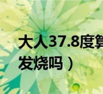 大人37.8度算发烧吗怎么处理(大人37.8算发烧吗)