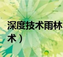 深度技术雨林木风电脑公司萝卜家园(深度技术)