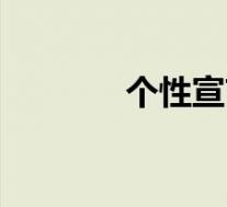个性宣言的意思(个性宣言)