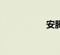 安腾网业(安腾网络)