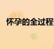 怀孕的全过程带解释图片（怀孕的全过程）