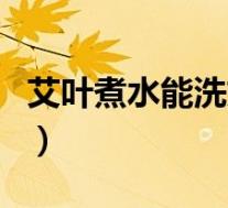 艾叶煮水能洗妇科吗（艾草可以治疗妇科病吗）