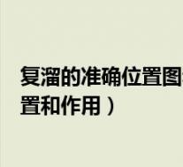 复溜的准确位置图和作用视频的准确位置图（复溜的准确位置和作用）